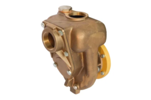 Flanged pumps for engines