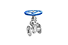 Gate & Globe Valve