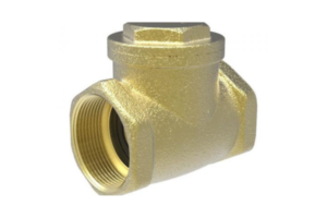 Swing check valve